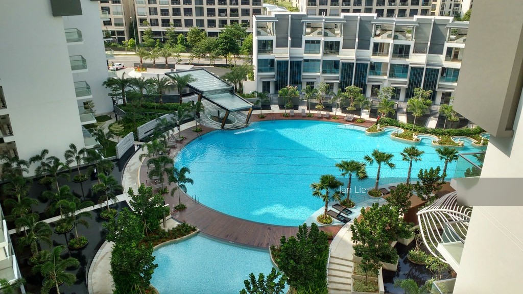 Skies Miltonia thumbnail photo